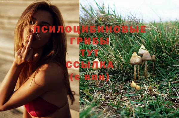 наркотики Гусь-Хрустальный