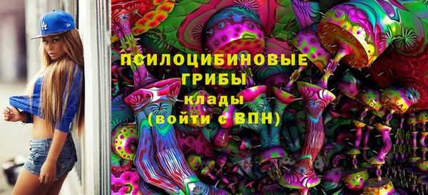 наркотики Гусь-Хрустальный